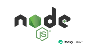 How To Install Node.js 22,20,18 on Rocky Linux 9 - CloudSpinx