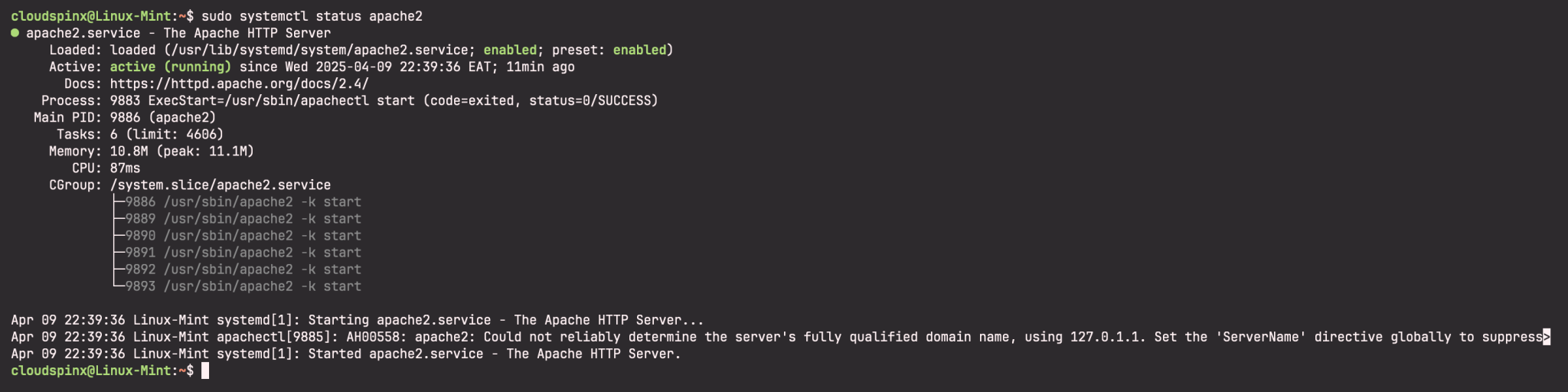 How To Install LAMP Stack on Linux Mint 22 - CloudSpinx