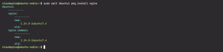 Install Saltstack Master & Minion on Ubuntu 24.04 - CloudSpinx